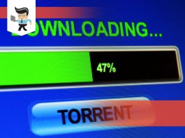 Qbittorent Connection Issues