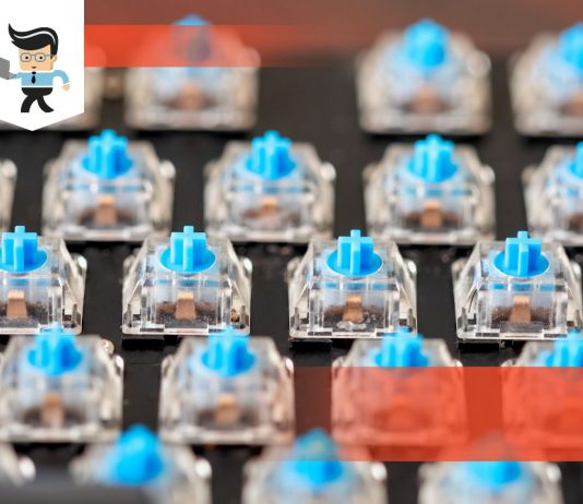 Cherry Brand Keyboard Switches