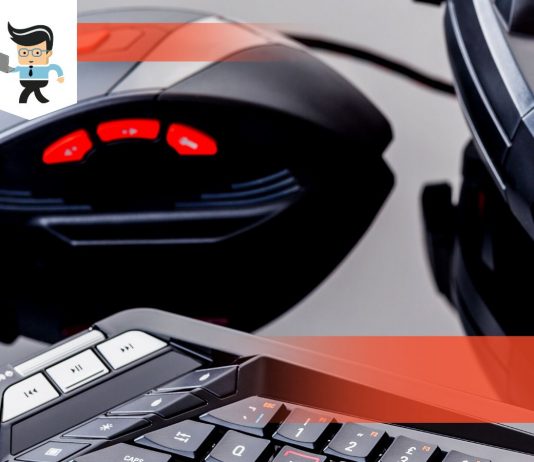 Rival Vs Sensei Comparison