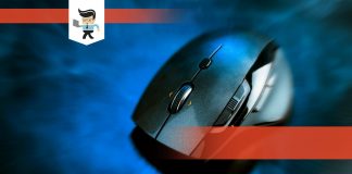 Budget Buying FF14 Mouse