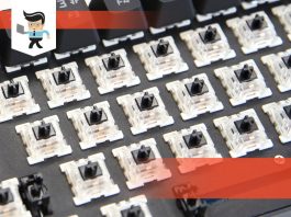 Tactile vs. Linear Switches