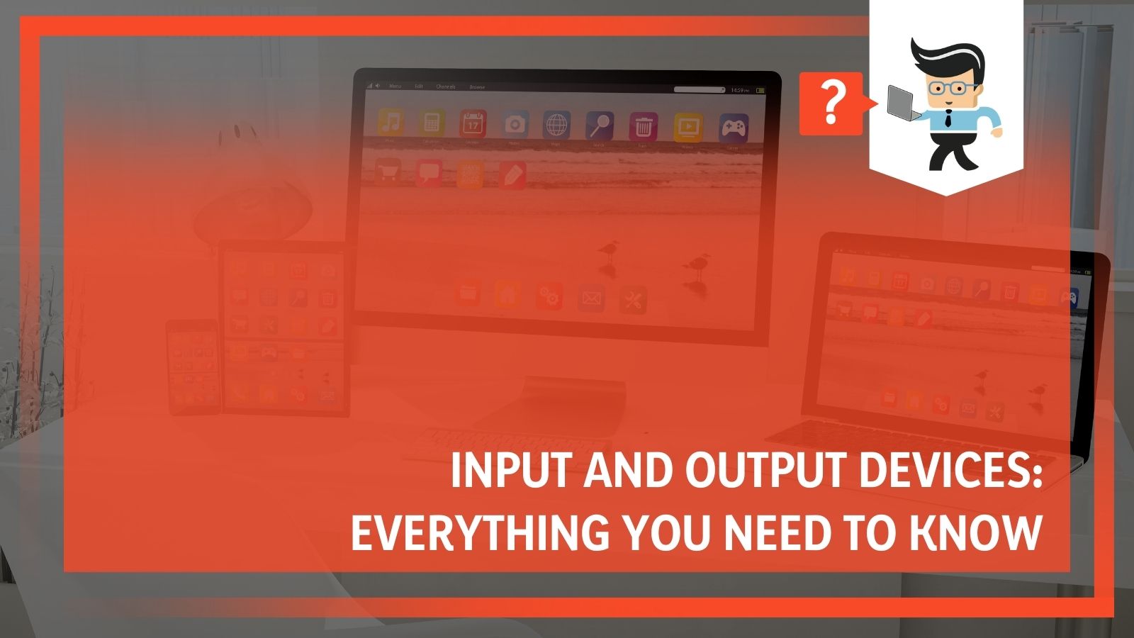 What Are Input and Output Devices