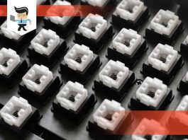 Tactile vs linear vs clicky switches