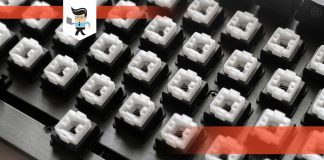 Tactile vs linear vs clicky switches