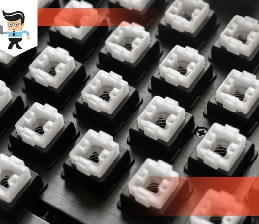Tactile vs linear vs clicky switches