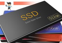 Wd Blue SSD vs Samsung Evo Comparison