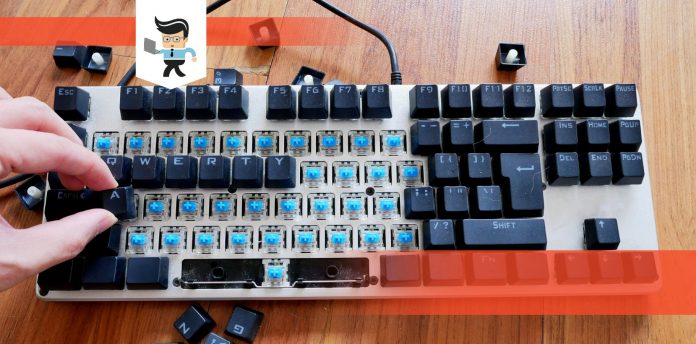 Best Budget Gaming Keyboards