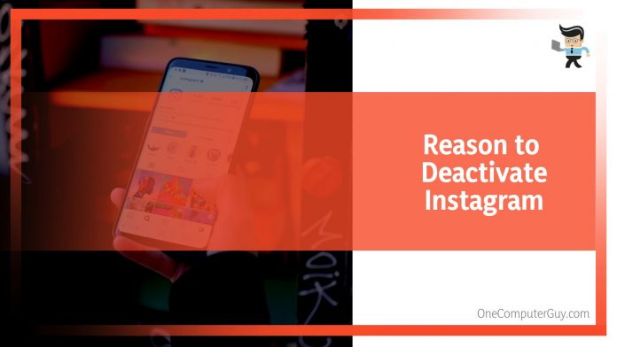 Photo inspiration: Picture Idea: Does Instagram Delete Inactive Accounts Everything You Need To Know