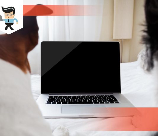 Gaming Laptop vs Macbook Picking Out Next Device