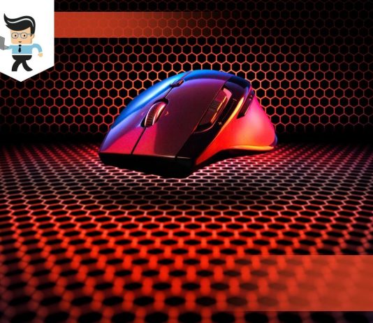 Logitech M317 vs M185 Comparative Guide