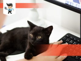 Guide To Remove Dell Monitor