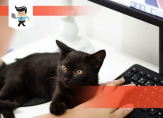 Guide To Remove Dell Monitor