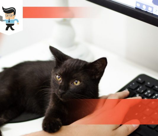 Guide To Remove Dell Monitor