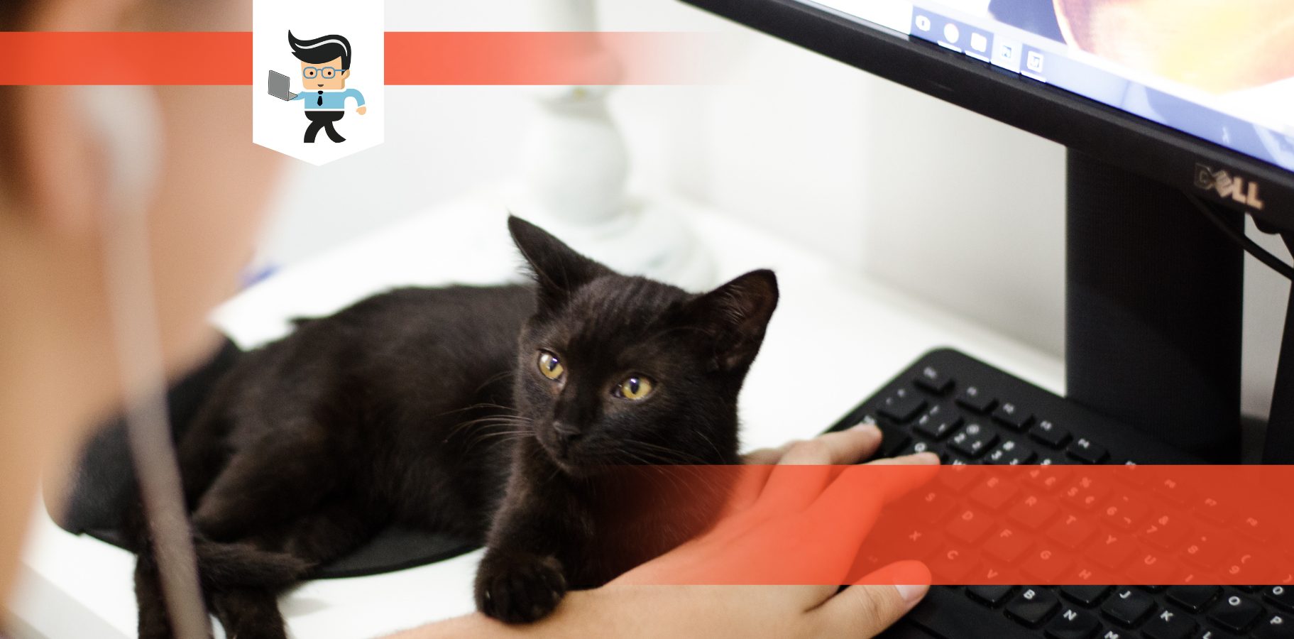 How To Remove Dell Monitor Stand A Detailed StepbyStep Guide