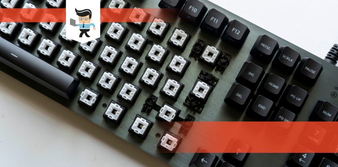 Tactile Keyboard Switches