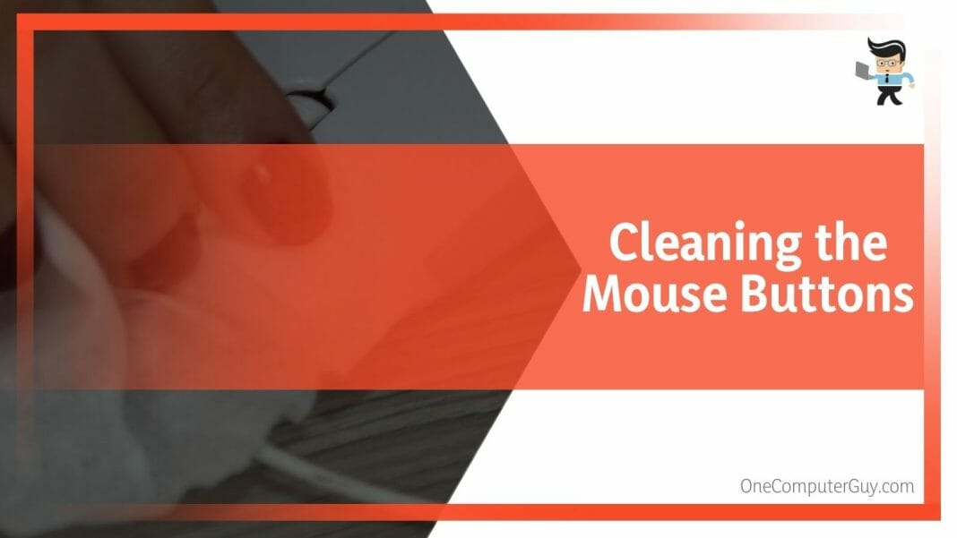 How To Clean Mouse Components in the Most Effective Way?