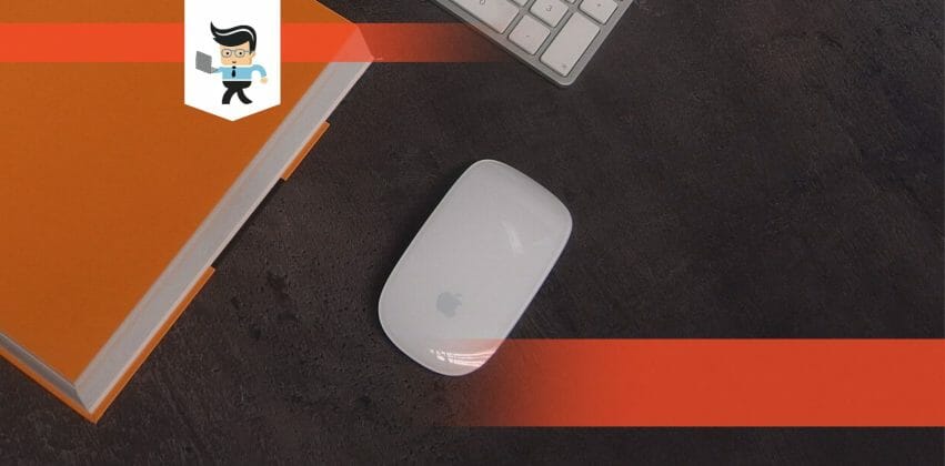 How To Clean Mouse Components in the Most Effective Way?